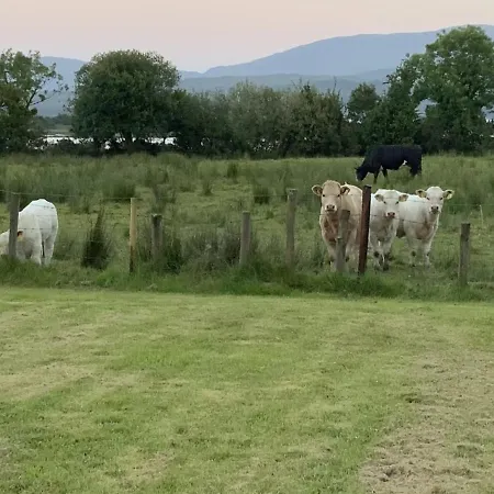 Broomfields 펜션 Greenane